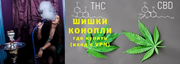 сатива Вязники