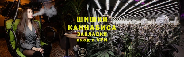 соль ск Вяземский