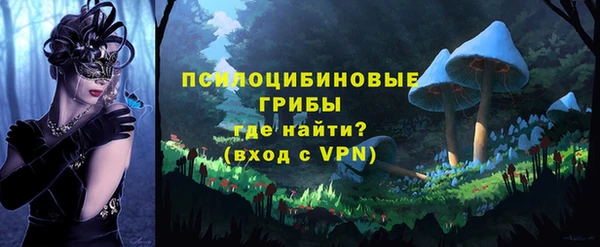 винт Горно-Алтайск